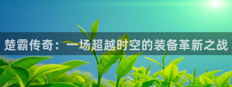 南宫大舞台官方正版app集团简介