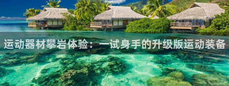 南宫大舞台官网下载招商电话号码：运动器材攀岩体验：一试身手的