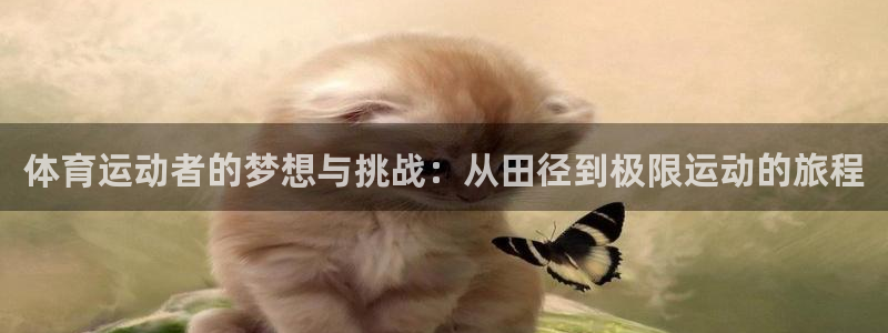 三亿体育网