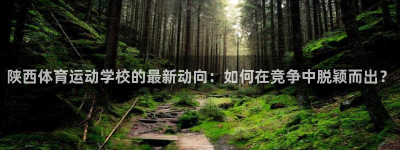 三亿体育网：陕西体育运动学校的最新动向：如何在竞争中脱颖而出？
