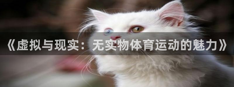 三亿体育网页版：《虚拟与现实：无实物体育运动的魅力》