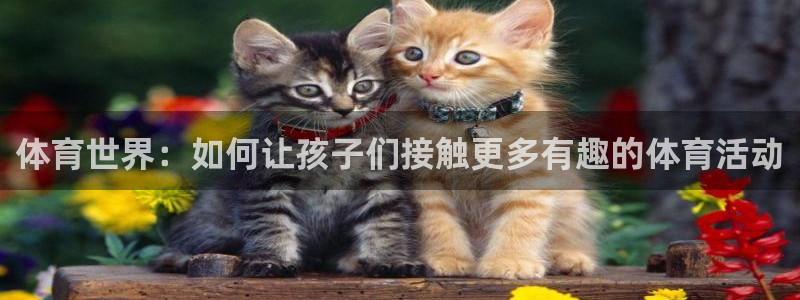 三亿体育网