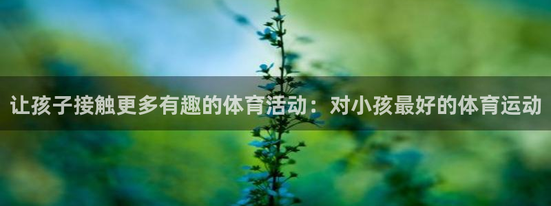 三亿体育网