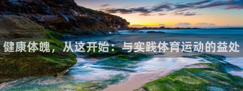 三亿体育网页版
