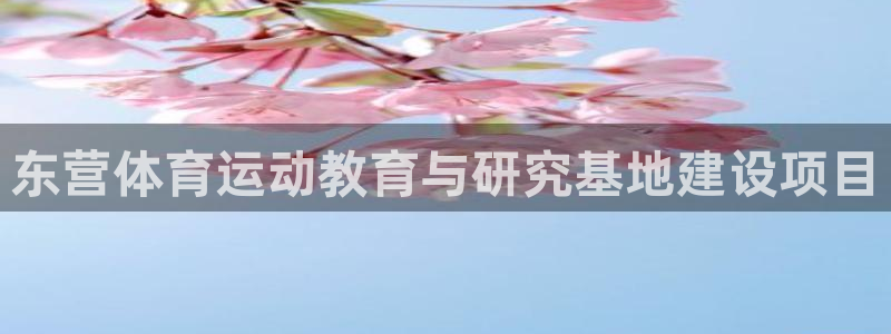 三亿体育网