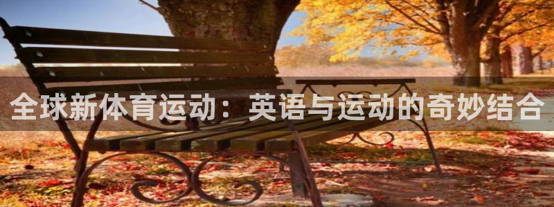 三亿体育网页版