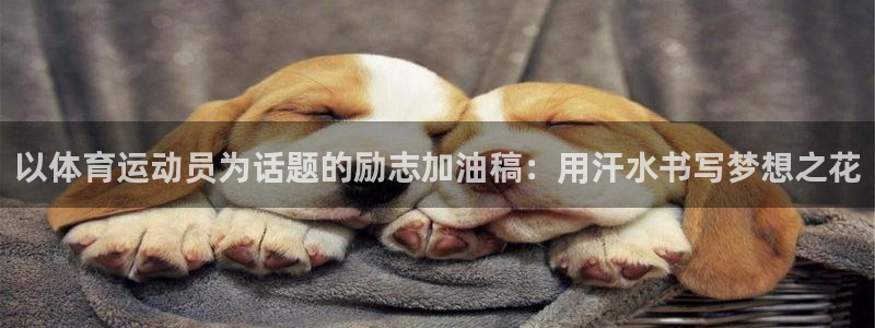 三亿体育登录：以体育运动员为话题的励志加油稿：用汗水书写梦想之花
