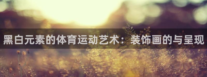 三亿体育网：黑白元素的体育运动艺术：装饰画的与呈现