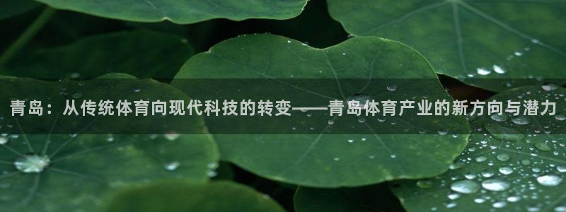 三亿体育：青岛：从传统体育向现代科技的转变——青岛体育产业的新方向与潜力